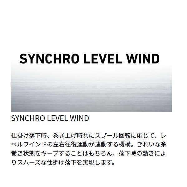 ソルティガ IC